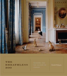 "The Breathless Zoo" paperback by Rachel Poliquin